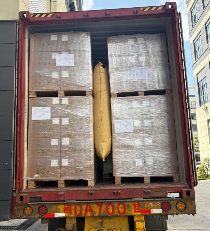 Bolsa inflable kraft instalada entre dos pallets dentro de un contenedor